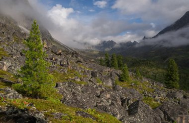 Doğu Sayan dağlarda vadisinde