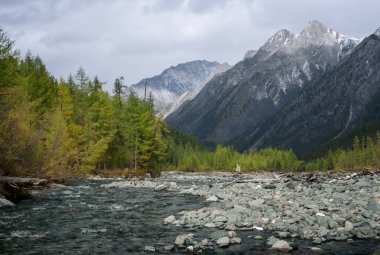 shumak Nehri içinde Doğu sayan Doğu Sibirya'daki tunkinskie loach