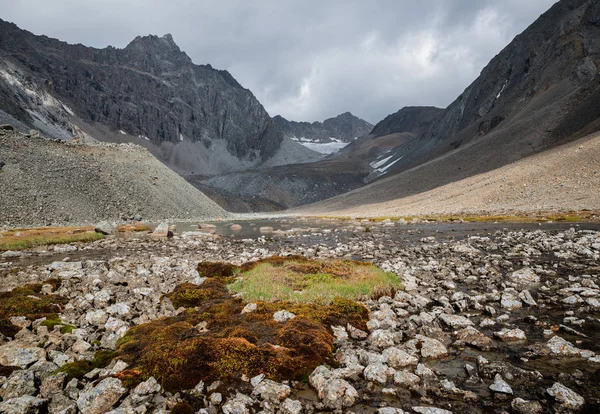 Berg Östra Sibirien Ridge Kodarsky — Stockfoto