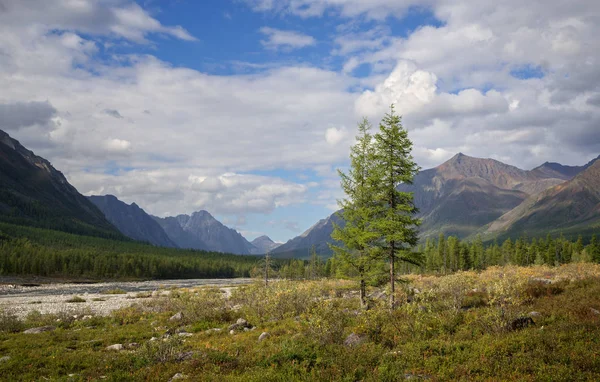 Syulban River in the Trans-Baikal Territory — Stock Image Syulban River Trans Baikal Territory Royalty Free Stock Photos