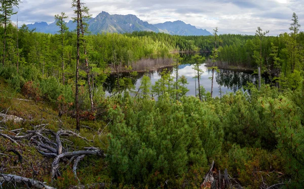 Lago Cordillera Kodar Siberia Oriental Transbaikalia — Foto de Stock