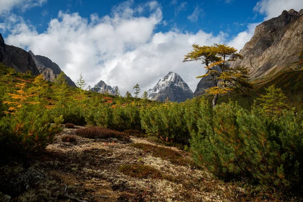 Autumn in the mountains Kodar Ridge — Stock Image Autumn Mountains Kodar Ridge Stock Photo