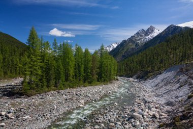 tunkinskie loach dağlarda Doğu Nehri'nde shumak sayan Doğu Sibirya