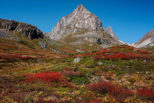 Peak in the mountains of the Kodar Range — Stock Image Peak Mountains Kodar Range Royalty Free Stock Photos