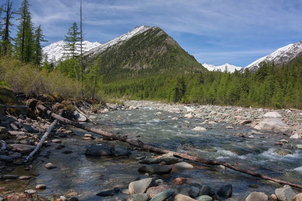 Shumak Fluss Der Tunkinskie Schmerle Den Bergen Ostsayan Ostsibirien — Stockfoto