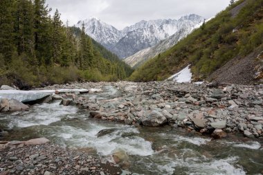 Haziran'da Shumak-Gol Nehri. Doğu Sayan'ın Tunkinsky'si. Haziran.