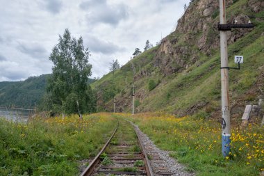 Baykal Gölü yakınlarındaki Circum-Baykal demiryolu nda yaz