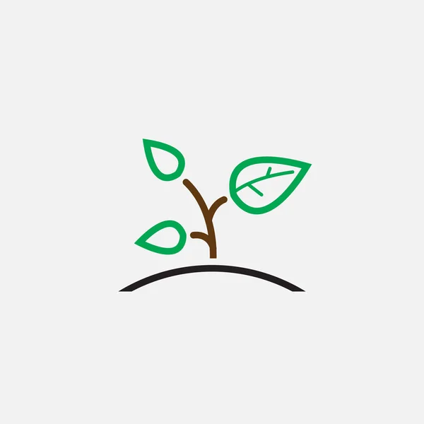 Sprout Pictogram Geïsoleerd Witte Achtergrond — Stockvector