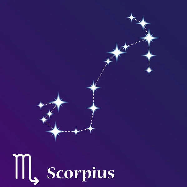 Scorpius Zodiacal Constellation Vector Illustration Horoscope Symbol Sign Zodiac — Stock Vector