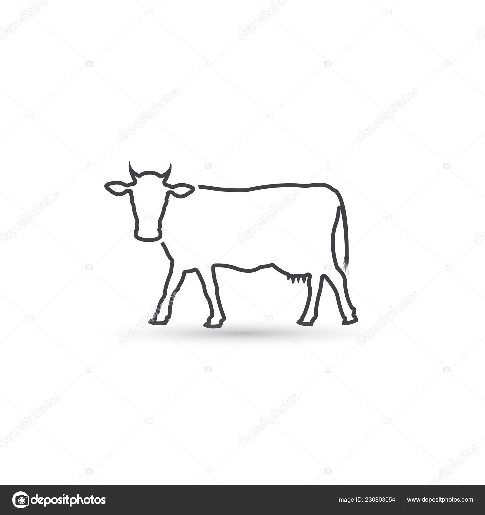 cow outline logo cow line icon outline vector logo cow outline