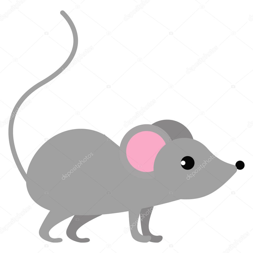 Mouse wild animal flat icon, vector sign, colorful pictogram isolated on white. Symbol, logo illustration. Flat style design