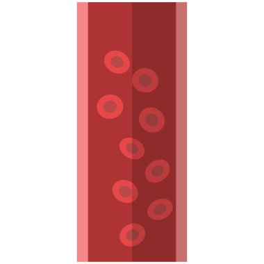 Anatomik gemi simge, vektör çizim düz stil tasarım üzerinde beyaz izole. Renkli grafik
