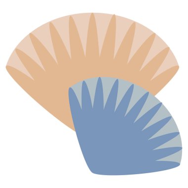 Seashell simge, vektör çizim düz stil tasarım üzerinde beyaz izole. Renkli grafik
