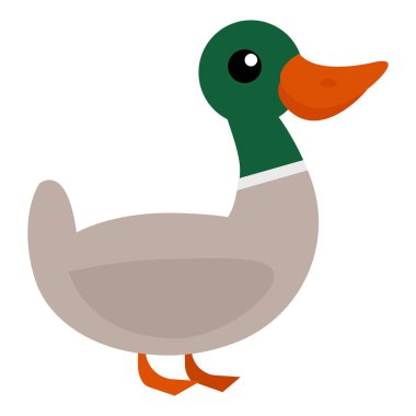 Ördek vahşi hayvan düz simgesi, vektör işareti, renkli sembol üzerinde beyaz izole. Sembol, logo illüstrasyon. Düz stil tasarım