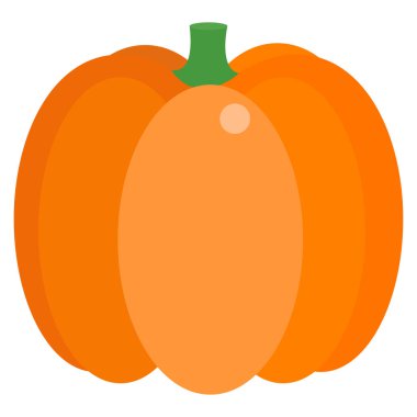 Kabak taze sebze simge, vektör çizim düz stil tasarım üzerinde beyaz izole. Renkli grafik