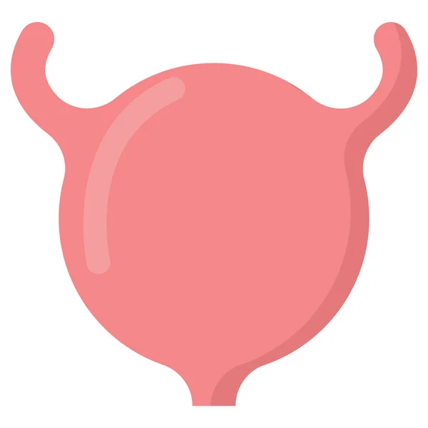 Иконка Человеческого Органа Мочевого Пузыря Векторная Иллюстрация Плоский Дизайн Изолированный — стоковый вектор