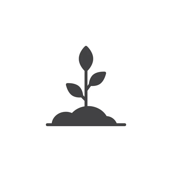 Sprout Pictogram Vector Gevulde Plat Bord Solide Pictogram Geïsoleerd Wit — Stockvector