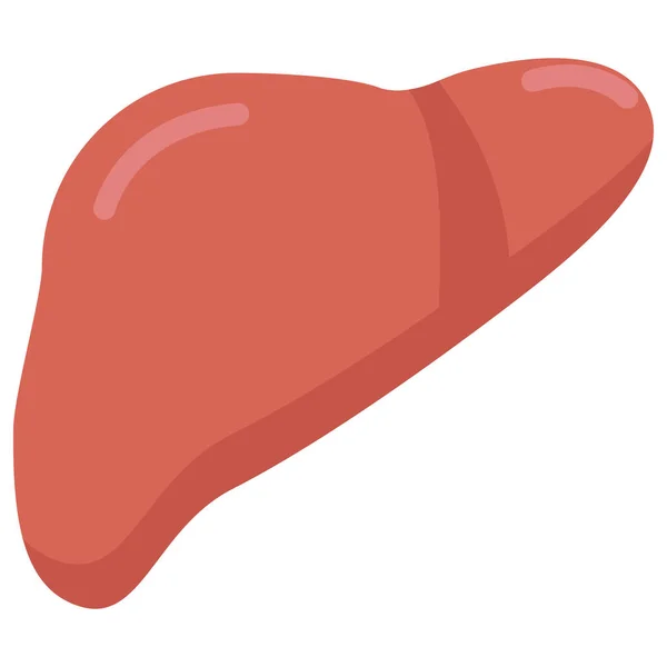 Human Liver Organ Icon Vector Illustration Flat Style Design Isolated — Stock Vector