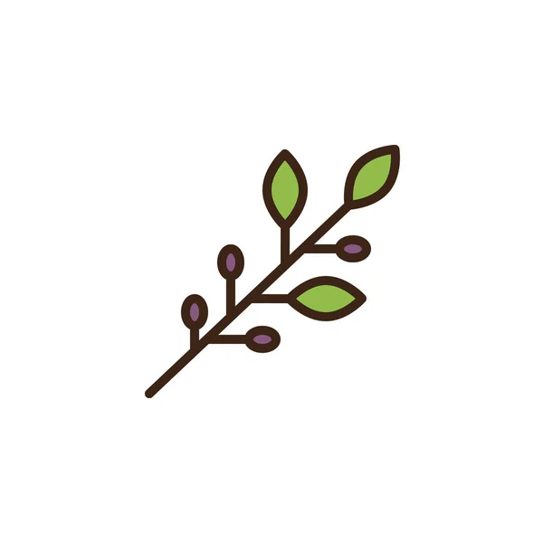 Icono de contorno lleno de ramas de aceitunas — Archivo Imágenes Vectoriales