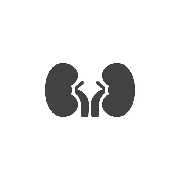 Human kidneys vector icon