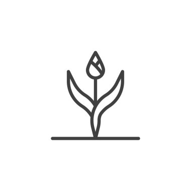 Lale tomurcuk çizgi simgesi