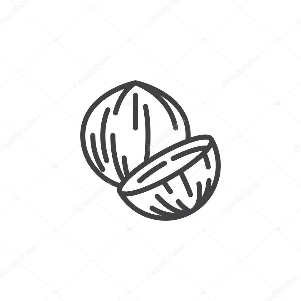 Coconut nut line icon