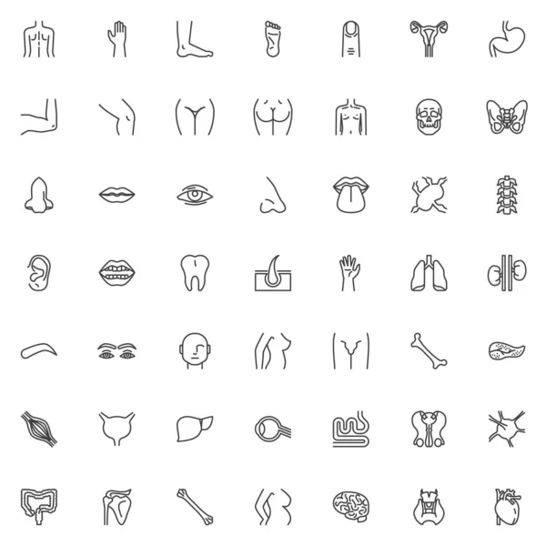 Human body parts line icons set