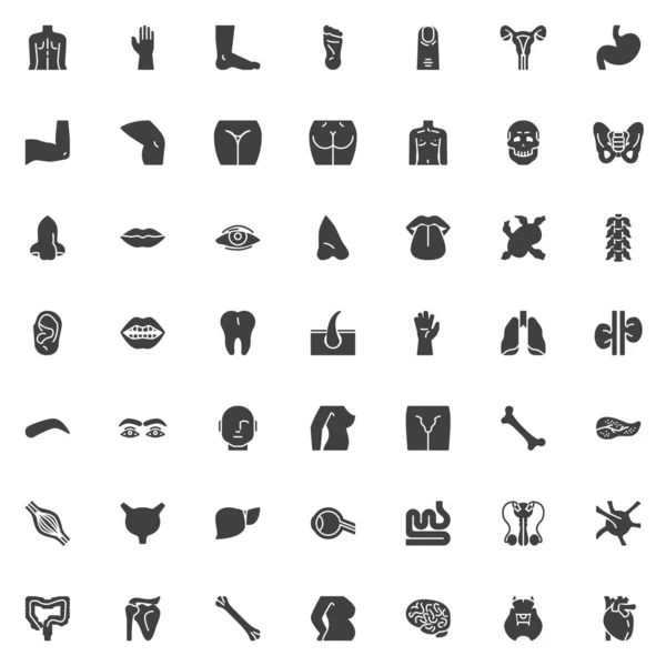 Human body parts vector icons set