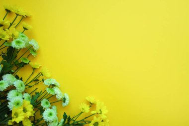 Sarı zemin üzerine sarı ve yeşil çiçekler. Kopya alanı