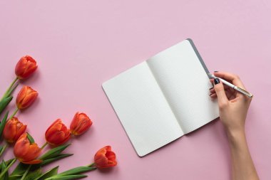 Female hand writing on a notebook. Pink background with tulips. Copy space
