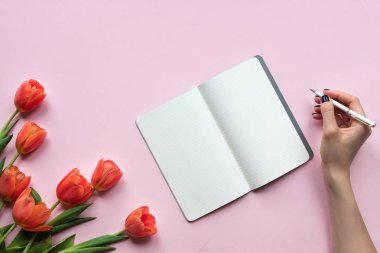 WOMANS bir defter üzerine yazma el. Tulips ile pembe arka plan. Metniniz için yerleştirin