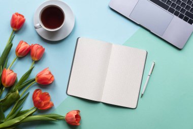 Open notebook on blue background with tulips, cup of tea and laptop.