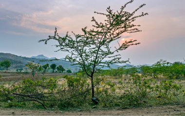 Şehrin dışındaki bir köyde güzel bir gün batımı.