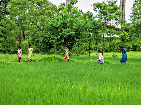 Khershet Maharashtra India Augustus 2009 Vijf Dorpsmeisjes Lopen Gelukkig Een — Stockfoto