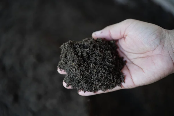 Vermicompost fertilizer for planting trees — Stock Photo, Image