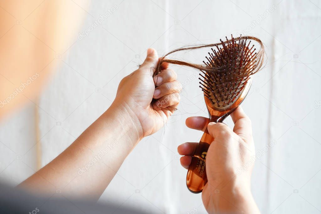 Women with long hair on the hair brush show hair loss problems. 