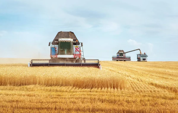 Комбайн Работающий Пшеничном Поле — стоковое фото