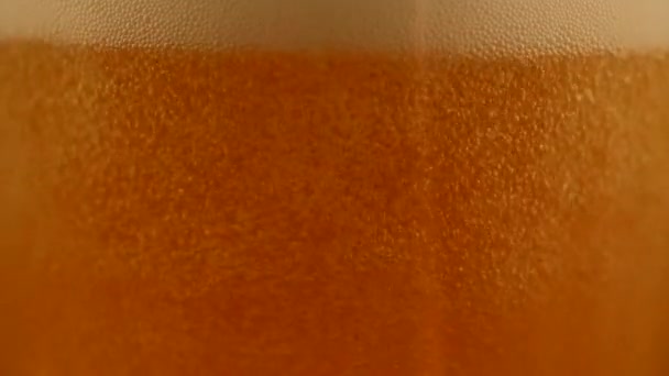 Detalhe Bolhas Cerveja Perto — Vídeo de Stock