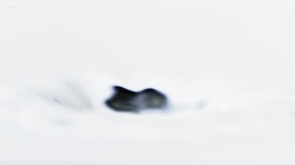 Падіння Води Надзвичайно Повільному Русі — стокове відео