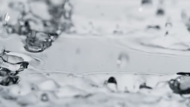 超スローモーションで雨のマクロ撮影 — ストック動画