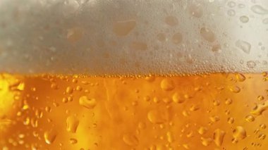 Bira Baloncuklarının Süper Yavaş Çekimi ve Kamera Hareketli Taze Köpük Arkaplanı 1000fps.