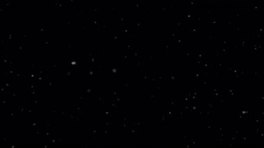 Düşen Gerçek Kar 'ın Süper Yavaş Çekimi Siyah Arkaplanda 1000 fp' de izole edildi.