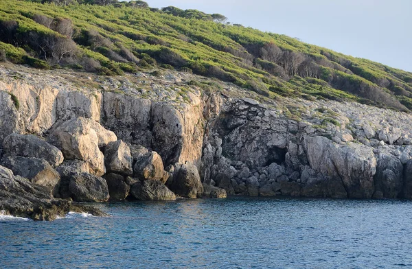 夏の晴れた日に 崖の上には松林がトレミティ諸島の岩石の多い海岸の海の絵 — ストック写真