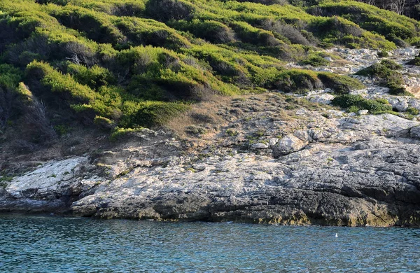 Floresta Pinheiros Nas Ilhas Tremiti Puglia Itália Sob Raios Sol — Fotografia de Stock