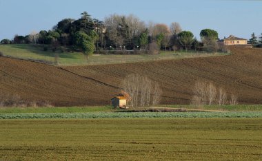grupta, güneşli bir kış Tuscan kırsalında ile ekili alanların peyzaj