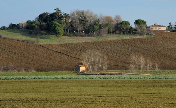 grupta, güneşli bir kış Tuscan kırsalında ile ekili alanların peyzaj