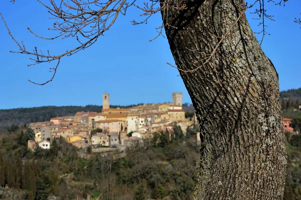 青い空とサン カシャーノ イタリア中世の村の背景に対して木の幹のクローズ アップ — ストック写真