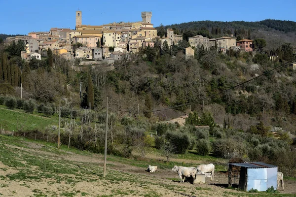 カシャーノ バーニ ヴァル ドルチャの中世の村の眺め — ストック写真