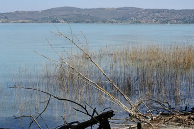 İtalyan Trasimeno Gölü kıyı şeridi, doğal görünümünü güneşli bir günde