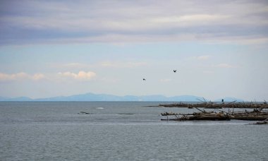 Toskana, İtalya'da, Maremma doğal parkında vahşi sahil manzarasının manzara